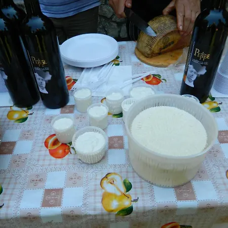 L'antico Ritrovo * Moliterno