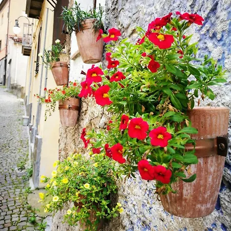 Bed & Breakfast L'antico Ritrovo Moliterno